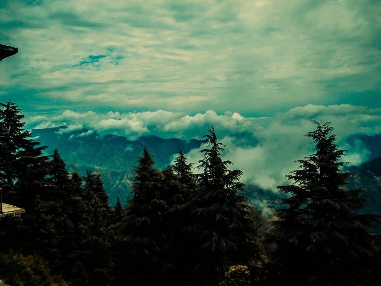 destination wedding in Dehradun venue