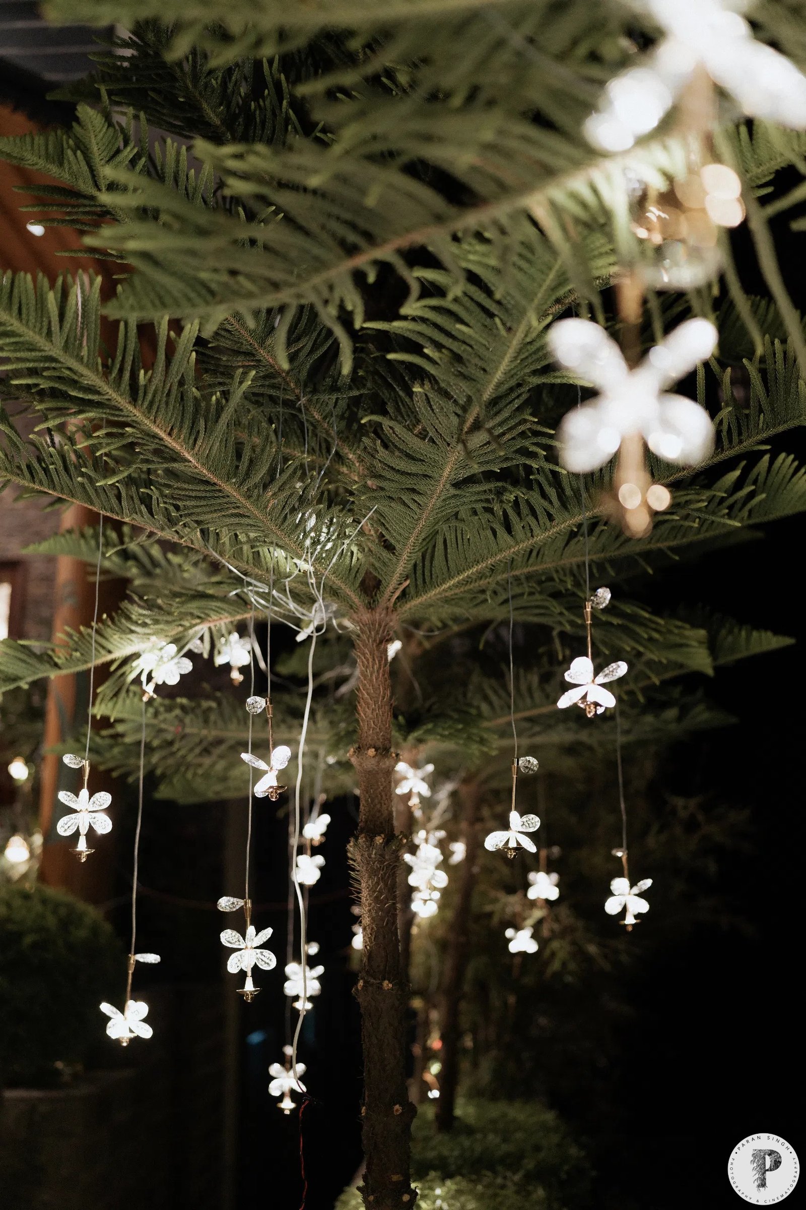 Decor